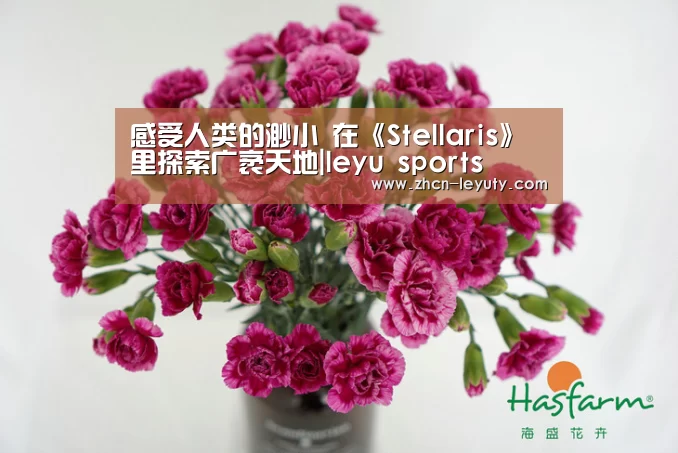 登录入口